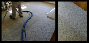 carpet cleaning pic 4