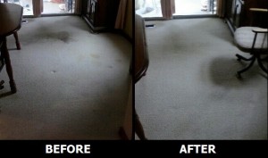 carpet cleaning pic 5